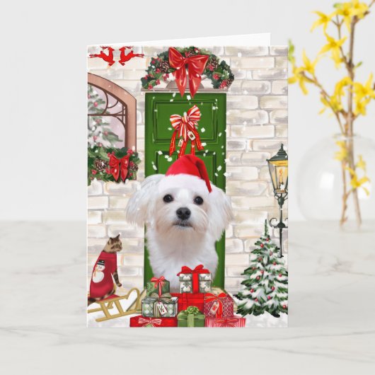 Maltezer Hond Kerstmis  Kaart (Gele Bloem)