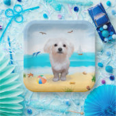 Maltezer hond op het strand papieren bordje (Feest)