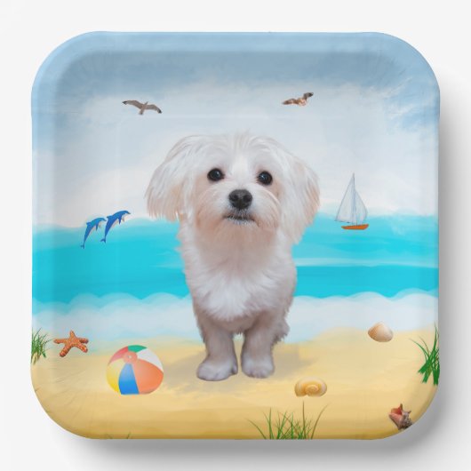 Maltezer hond op het strand papieren bordje (Voorkant)