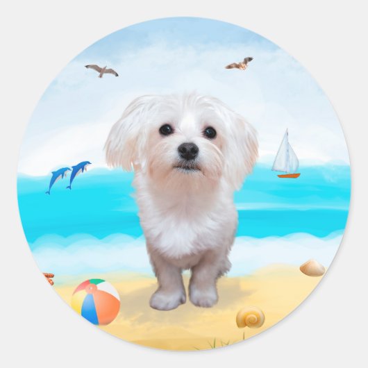 Maltezer hond op het strand ronde sticker (Voorkant)
