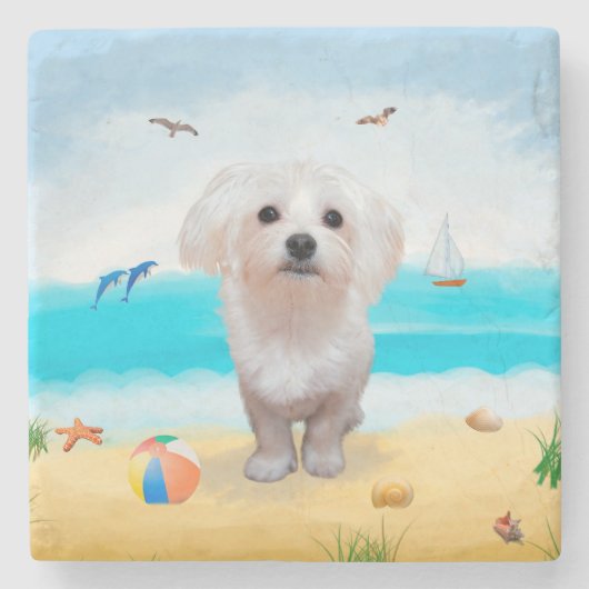 Maltezer hond op het strand stenen onderzetter (Voorkant)