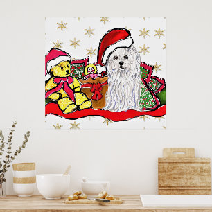 Maltezer Hond Poster