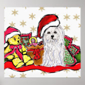 Maltezer Hond Poster (Voorkant)