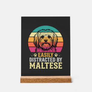 Maltezer Hond Retro Zonsondergang Afleidend Acryl Bord