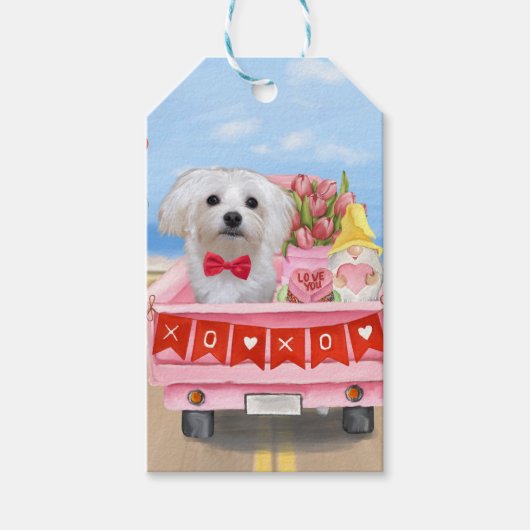 Maltezer hond Valentijnsdag vrachtwagen Cadeaulabel (Voorkant)