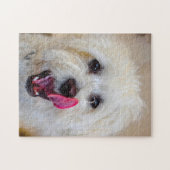 Maltezer hondenras. legpuzzel (Horizontaal)