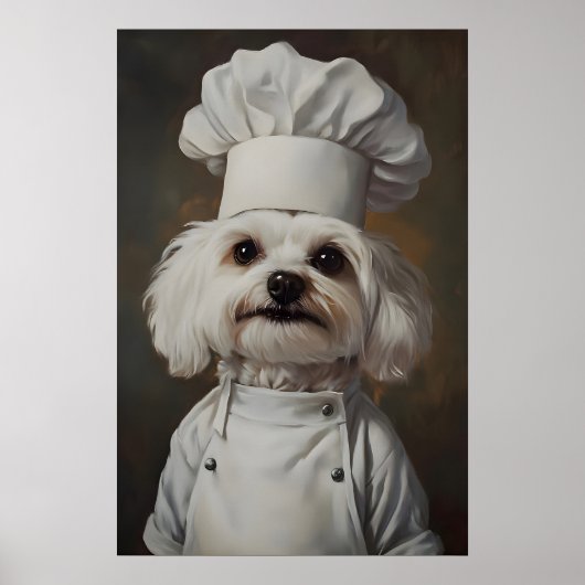 Maltezer in kookmuts poster, huisdierposter, Malte Poster (Voorkant)