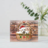 Maltezer Kerstpuppy's Feestdagenkaart (Staand voorkant)