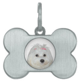 Maltezer Liefde Cute Hond Lili Huisdieren Naamplaatje