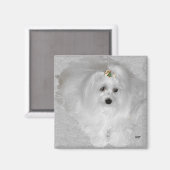 Maltezer met Kerstlint Magneet (Voorkant / Achterkant)
