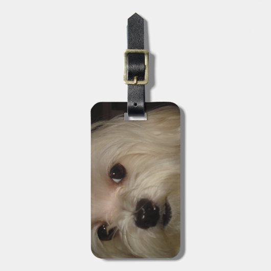 Maltezer met Rode Strik Bagagelabel (Voorkant verticaal)