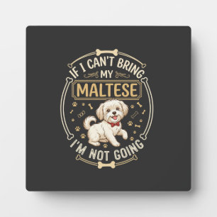 Maltezer Niet Gaande Hond Rode Strik Das Bot Frame Fotoplaat