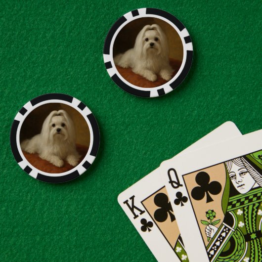 Maltezer Poker Chips (Pokertafel (Dubbel))