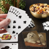Maltezer Pokerkaarten (Insitu)