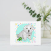 Maltezer Pup met Bellen Briefkaart (Staand voorkant)