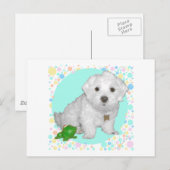 Maltezer Pup met Bellen Briefkaart (Voorkant / Achterkant)