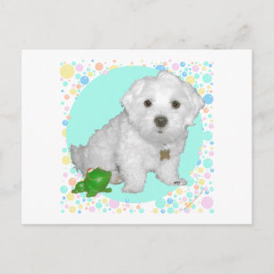 Maltezer Pup met Bellen Briefkaart