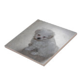 Maltezer Puppy (9 Maanden Oud) Tegeltje (Zijkant)