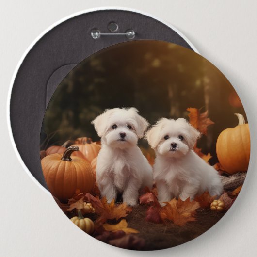 Maltezer Puppy Autumn Delight Pumpkin Ronde Button 6,0 Cm (Voorkant /achterkant)