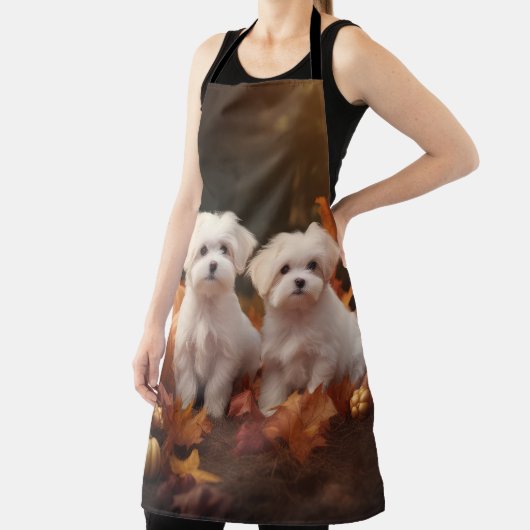 Maltezer Puppy Autumn Delight Pumpkin Schort (Insitu)