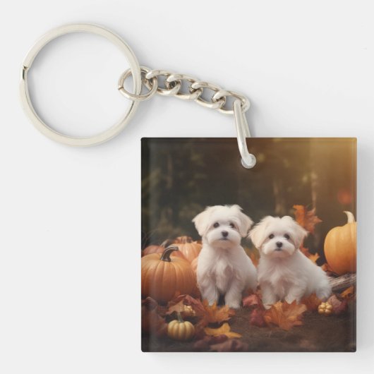 Maltezer Puppy Autumn Delight Pumpkin Sleutelhanger (Voorkant)