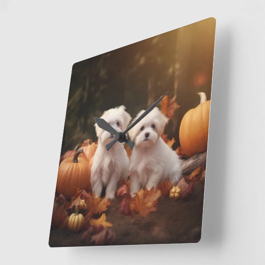 Maltezer Puppy Autumn Delight Pumpkin Vierkante Klok (Hoek)