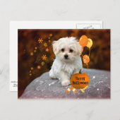Maltezer Puppy, Halloween Feest Uitnodiging Briefkaart (Voorkant / Achterkant)