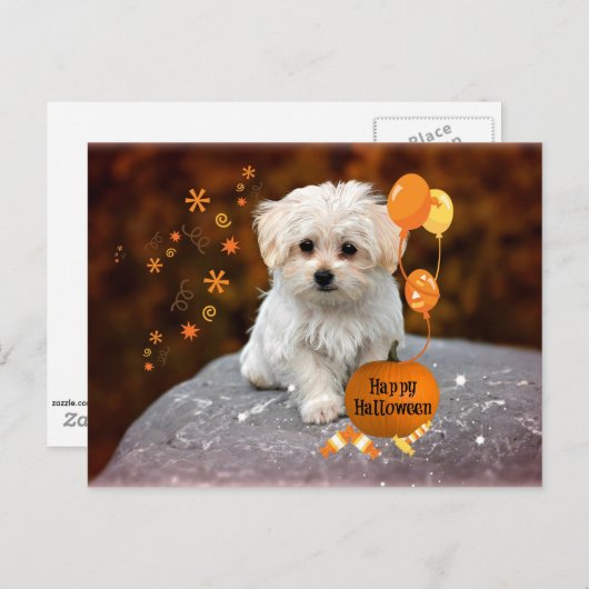 Maltezer Puppy, Halloween Feest Uitnodiging Briefkaart (Voorkant / Achterkant)