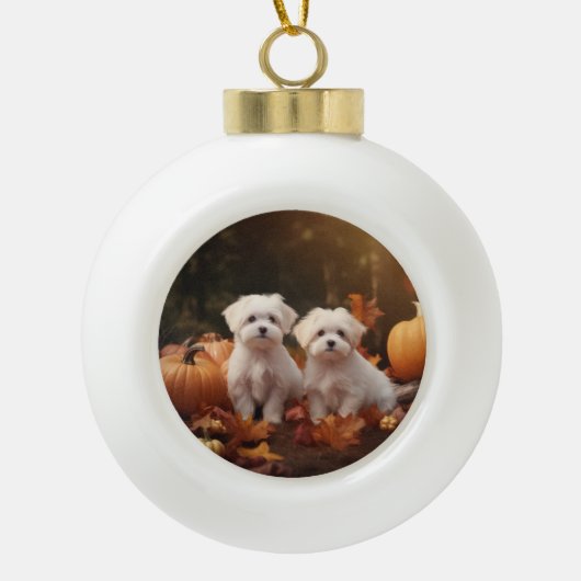 Maltezer Puppy Herfstpomp Keramische Bal Ornament (Voorkant)