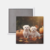 Maltezer Puppy Herfstpracht Pompoen Magneet (Voorkant / Achterkant)