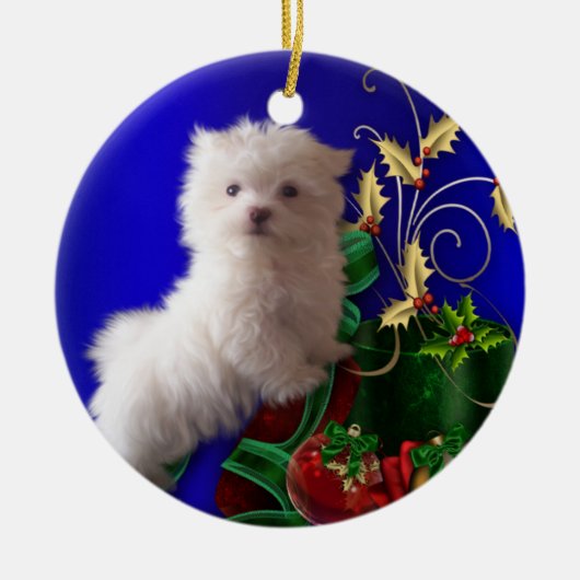 Maltezer Puppy Hond Ornament (Voorkant)