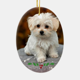 Maltezer Puppy Keramische Kerstversiering Keramisch Ornament