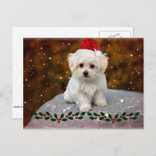 Maltezer Puppy Kerstmis Feestdagenkaart (Voorkant / Achterkant)