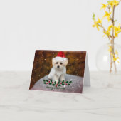 Maltezer Puppy Kerstmis Kaart (Gele Bloem)