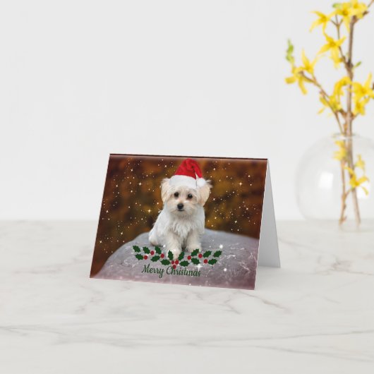 Maltezer Puppy Kerstmis Kaart (Gele Bloem)