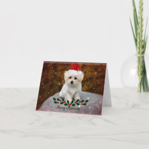 Maltezer Puppy Kerstmis Kaart