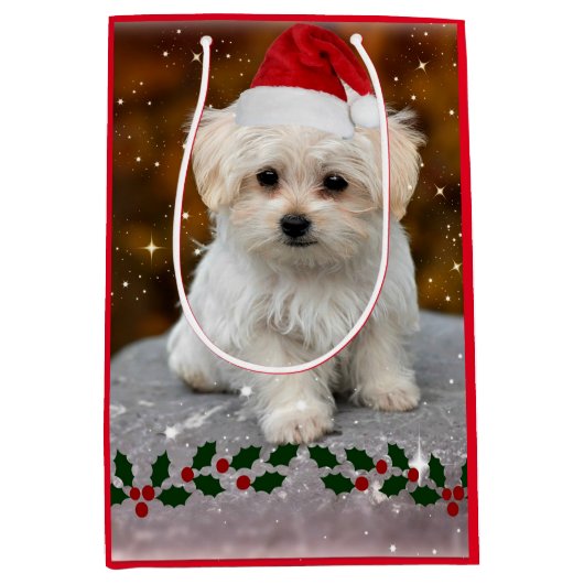 Maltezer puppy Kerstmis, schattig vakantiemodel Medium Cadeauzakje (Voorkant)