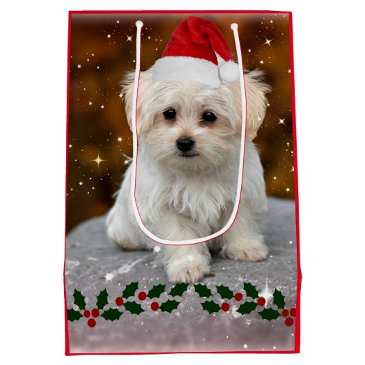 Maltezer puppy Kerstmis, schattig vakantiemodel Medium Cadeauzakje (Achterkant)