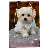 Maltezer Puppy Medium Cadeauzakje (Voorkant)