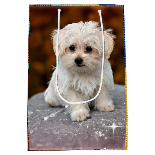 Maltezer Puppy Medium Cadeauzakje (Achterkant)