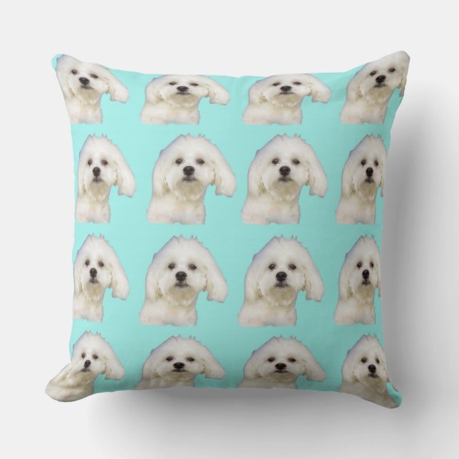 Maltezer puppy op blauw kussen (Voorkant)