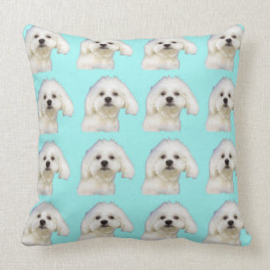 Maltezer puppy op blauw kussen