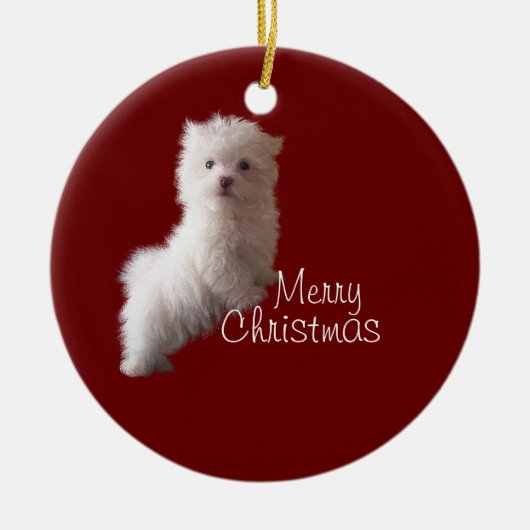 Maltezer Puppy Rode Versiering Keramisch Ornament (Voorkant)