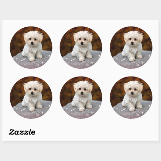 Maltezer puppy...schattig ronde sticker (Vel)