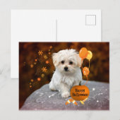 Maltezer Puppy viert Halloween Briefkaart (Voorkant / Achterkant)