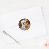 Maltezer Puppy viert Halloween Ronde Sticker (Envelop)