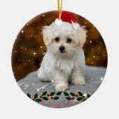 Maltezer puppy viert Kerstmis Keramisch Ornament (Voorkant)