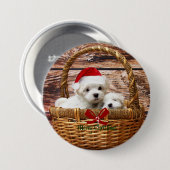 Maltezer puppy's in een kerstmand ronde button 7,6 cm (Voorkant /achterkant)