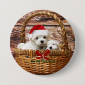 Maltezer puppy's in een kerstmand ronde button 7,6 cm (Voorkant)