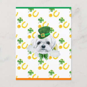 Maltezer Shamrock St. Patricks Dag Feestdagenkaart